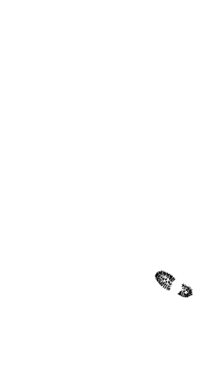 Untitled10