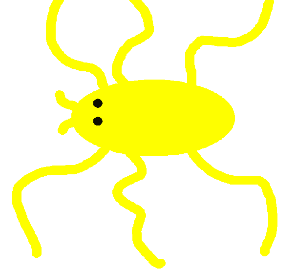 spider