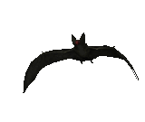 bat