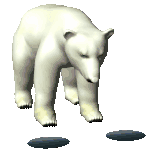 polar bear